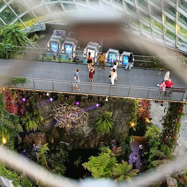 Cloud Forest สิงคโปร์