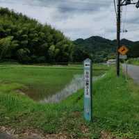 道の駅de愛ほっこり見山の郷　アユ釣り・夜はホタルの名所