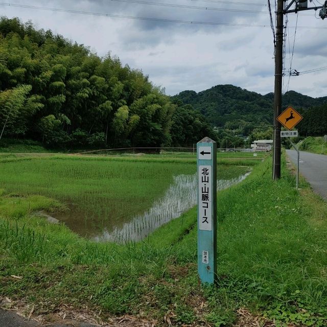 道の駅de愛ほっこり見山の郷　アユ釣り・夜はホタルの名所