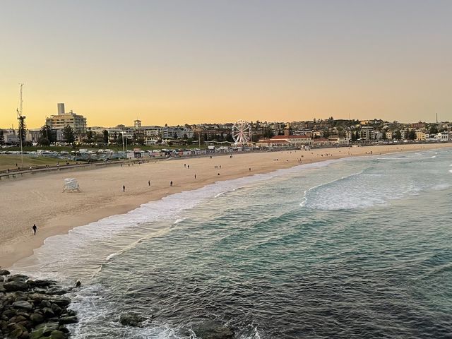 Bondi to Coogee Walk 