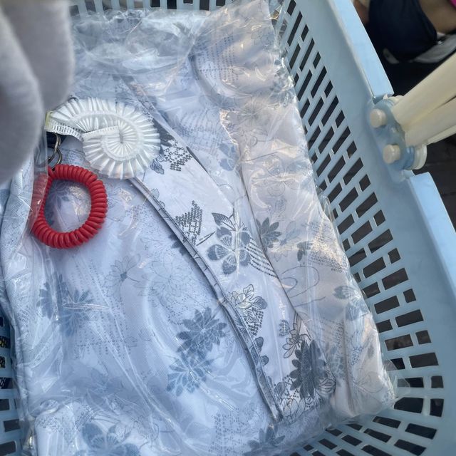 대만 온천여행 베이터우/양명산 비교!