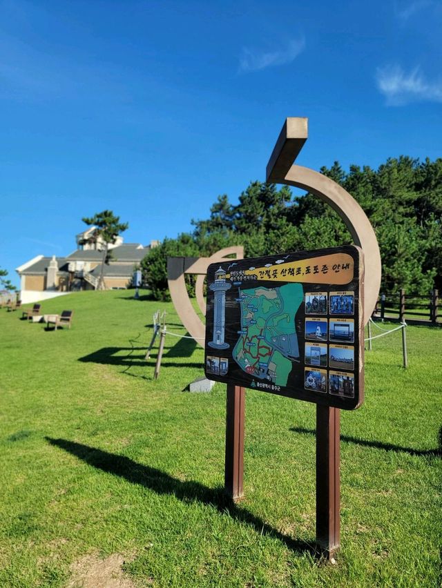 바다아닌 숲속에서 힐링하는 간절곶공원🌲