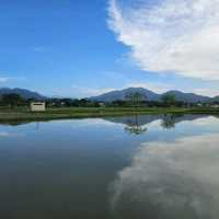 極具保育價值嘅塱原自然生態公園之生態區