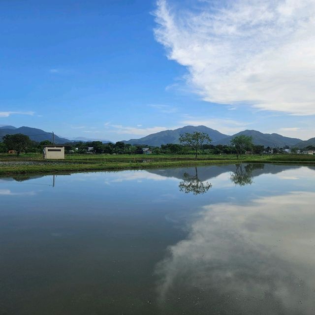 極具保育價值嘅塱原自然生態公園之生態區