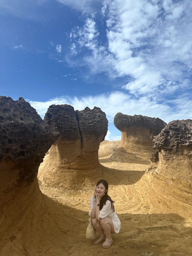 풍화작용으로 인한 기암괴석이 가득한 지질공원 [예류 지질공원]