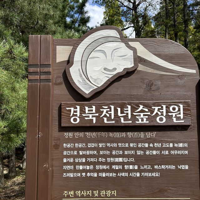 경북천년숲정원, 자연이 만들어 놓은 정원 탐방기