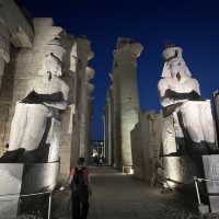 エジプトの古代文明を堪能し尽くす旅〜カイロ、ルクソール、フルガダ編