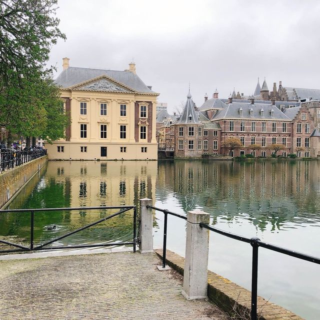 荷蘭🇳🇱海牙The Hague (Den Haag)🚶🏻‍♀️🚶🏿🚶🏻‍♂️ Hofvijver 散步看風景