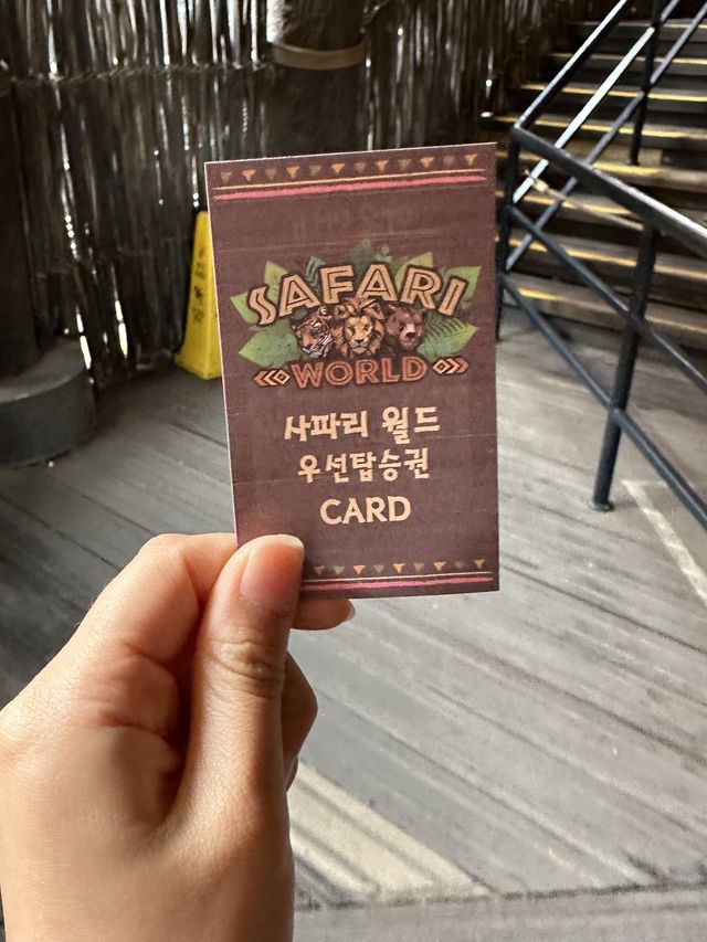 귀여운 동물들을 맘껏 볼 수 있는 에버랜드 사파리🐯