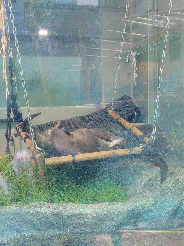 「池袋」サンシャイン水族館