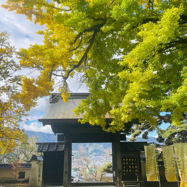 【長野県/高さ40mの夫婦銀杏が美しく紅葉を始めた佛法紹隆寺】