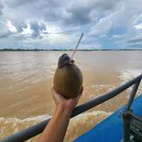 Mekong Delta Region Tour