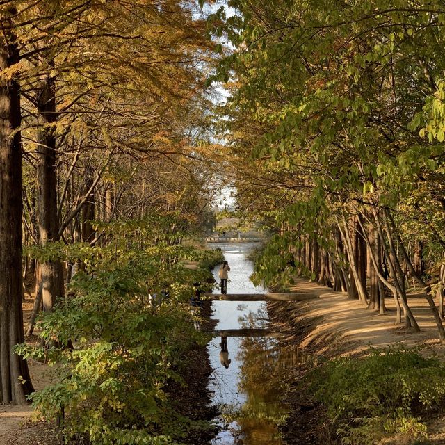 가을이 오면 가장 먼저 생각나는 경주 여행지🍁