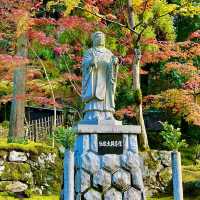 Saimyoji Serenity: Autumn's Radiance Revealed
