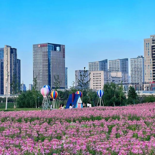 紫山公園 🌷🌳荷蘭奇幻🌷🌷