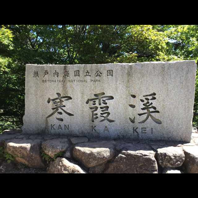 やはり島が魅力的よね