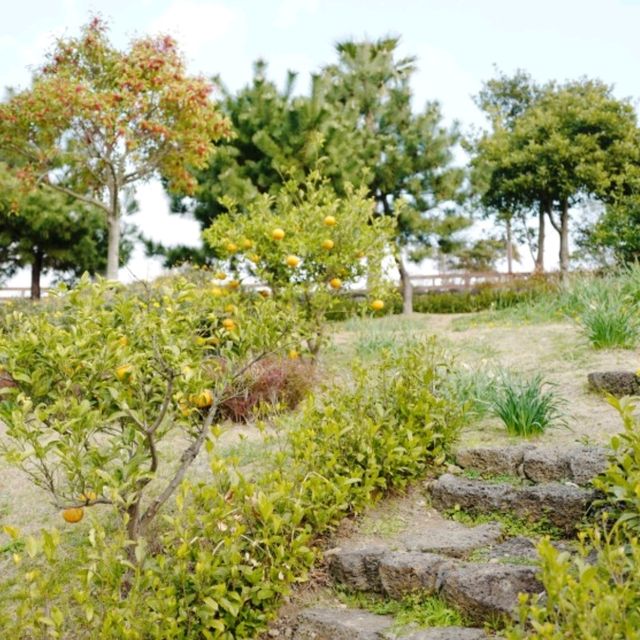 제주도 여행 자구리 해안 문화공원