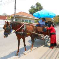 Horse-Drawn Carriage Through Lampang
 Old Town