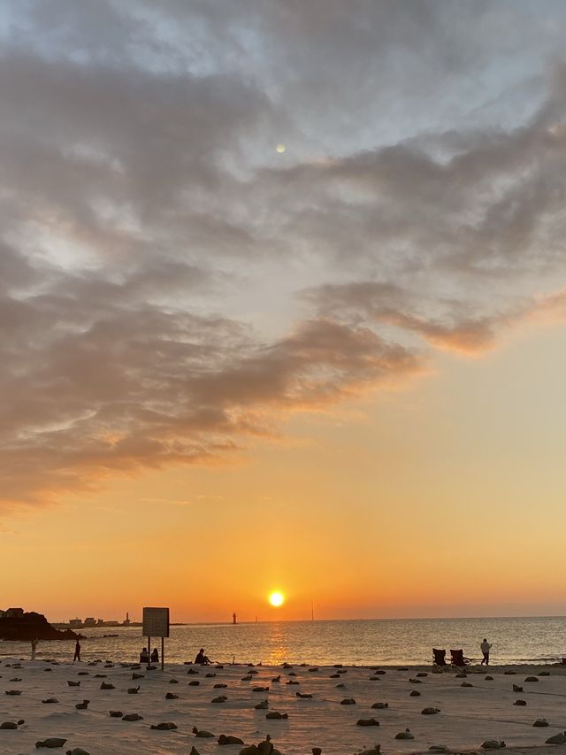겨울바다보러 제주로 훌쩍 떠나기 🌅