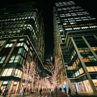 東京の冬を彩る風物詩