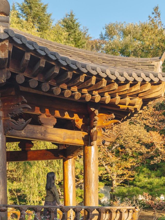 경주 알록달록 단풍명소 보문관광단지 