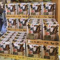 名古屋城的守護者【金鯱】
