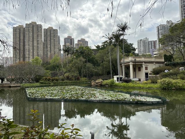 本地遊 | 坐港鐵遊香港 | 青衣站 | 兩個繡球花打卡熱點