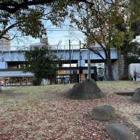 【東京】夕暮れ時の隅田公園の桜