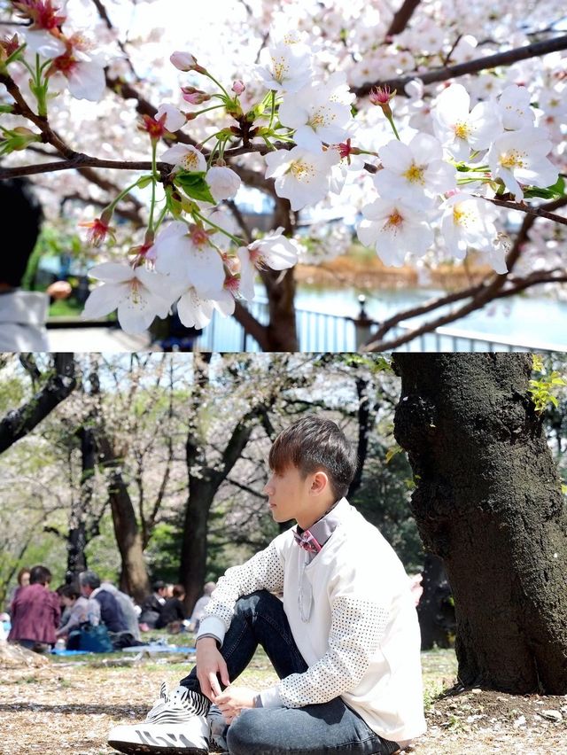 全東京最多櫻花樹的地標「上野恩賜公園」賞櫻打卡必去！
