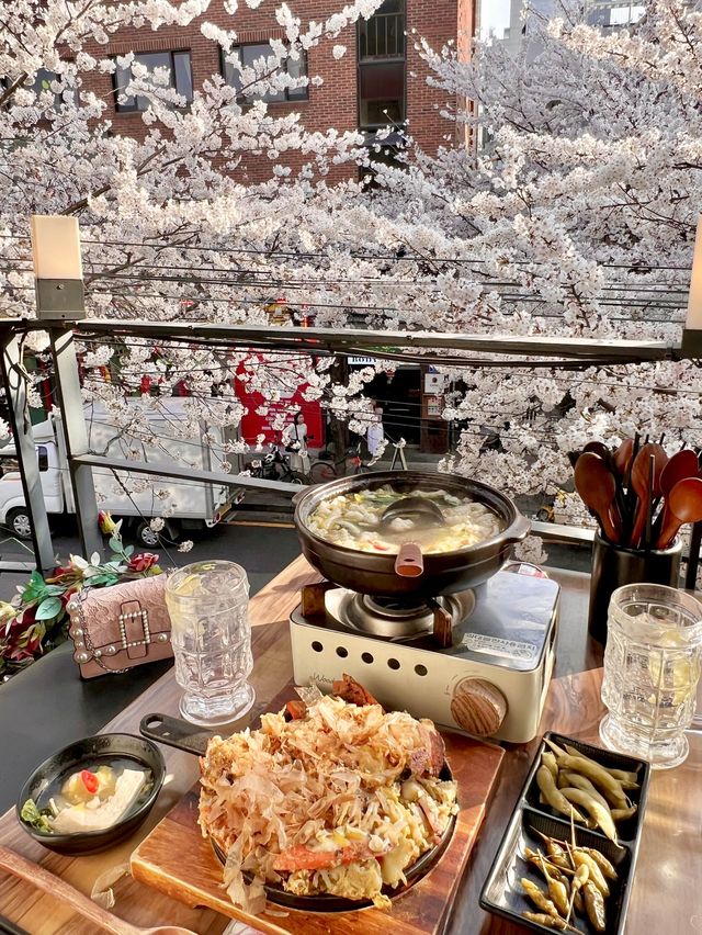 🌸벚꽃을 코앞에서 볼 수 있는 이자카야 합정 공감🌸
