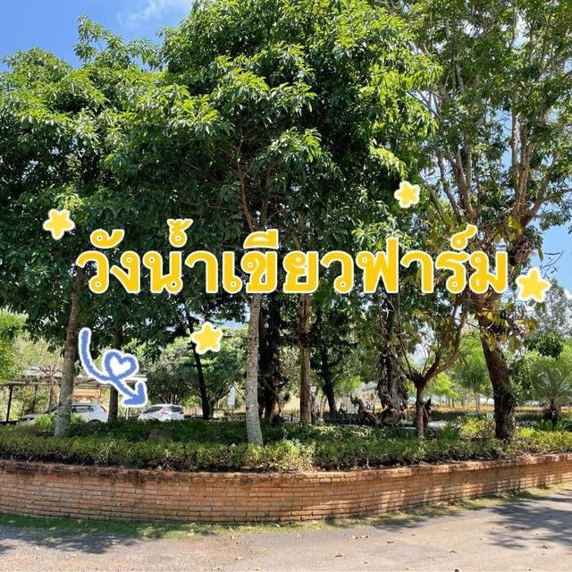 🍄⛰️เรียนรู้เห็ดนานาชนิดและตำรายาชั้นดี🌿🏥 🍄⛰️เรียนรู้เห็ดนานาชนิดและตำรายาชั้นดี🌿🏥