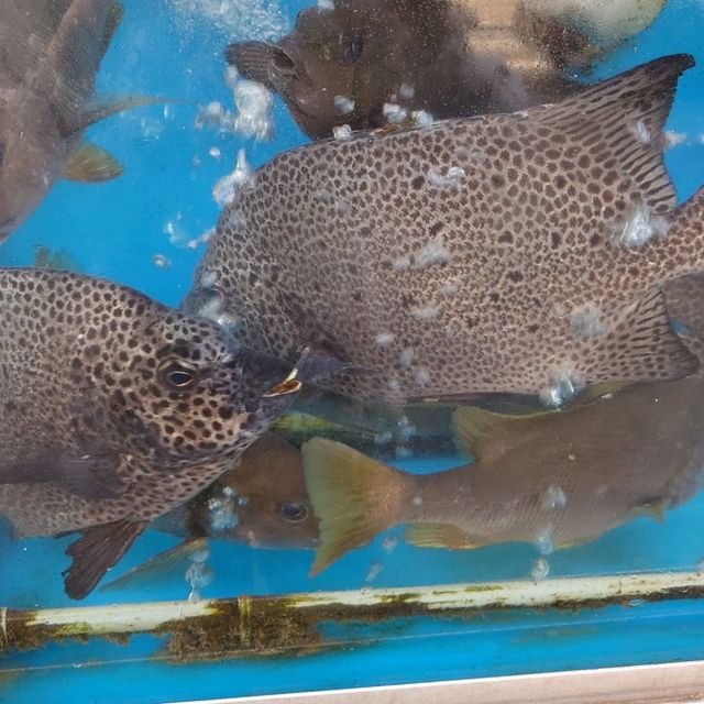 台湾の漁荘海鮮餐庁