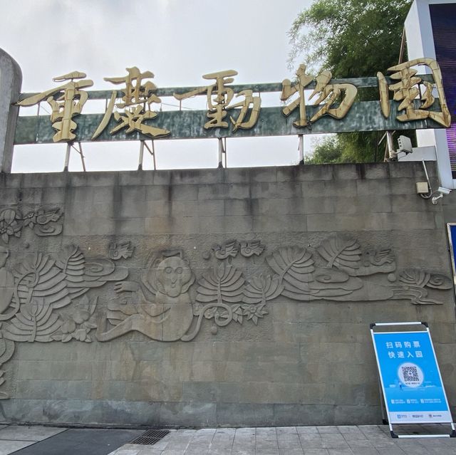 包羅萬有的重慶動物園