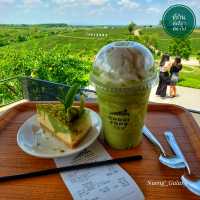ไร่ชาฉุยฟง [ดื่มชา ชมไร่] - เชียงราย
