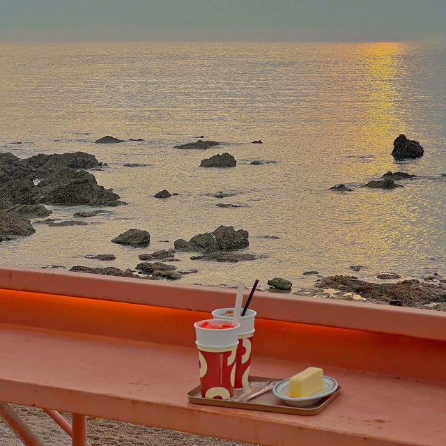 태안 파도리 오션뷰카페 커피인터뷰 ☕️