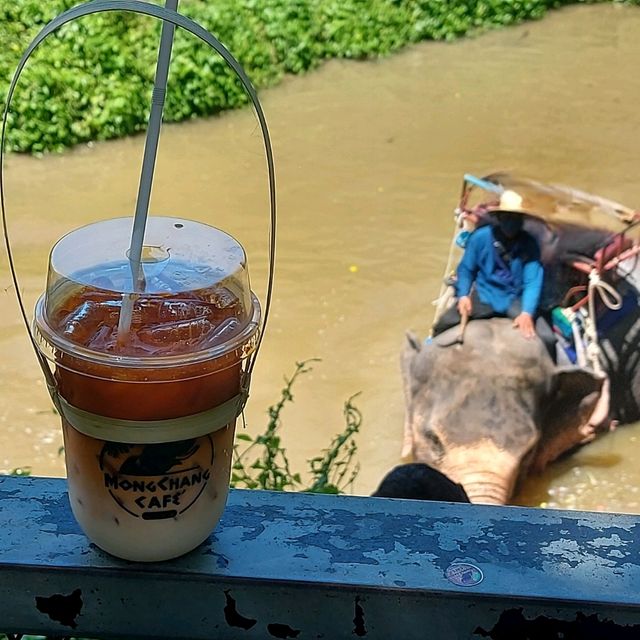 คาเฟ่ ฟีลธรรมชาติ
