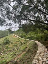 Hiking route from Tsuen Wan for nice view & food