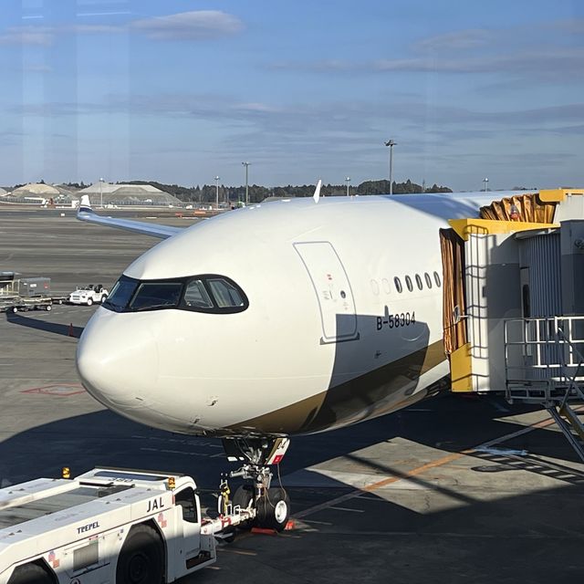 【空旅】スターラックス航空