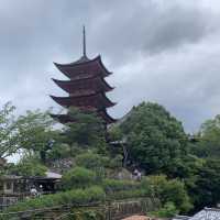 one of the must visit places in Japan - Itsukushima Shrine