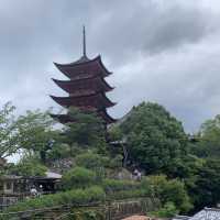 one of the must visit places in Japan - Itsukushima Shrine 