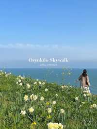 แนะนำพิกัดที่เที่ยวปูซาน Oryukdo Skywalk 🌼🌿🌊