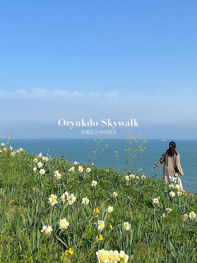 แนะนำพิกัดที่เที่ยวปูซาน Oryukdo Skywalk 🌼🌿🌊