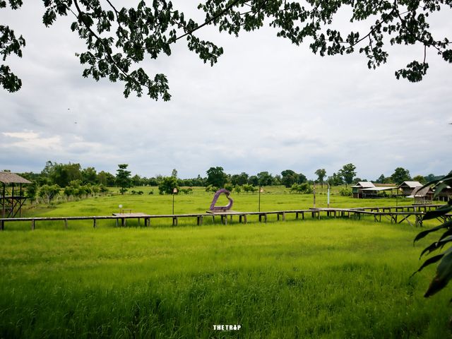 เถียงนาคาเฟ่ บ้านสวนศรีบุญมา อุดรธานี