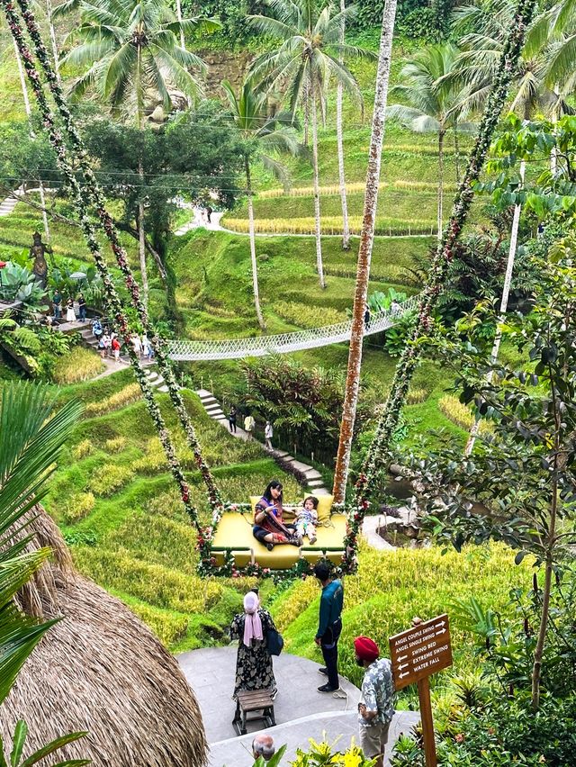 Breathtaking Rice Terraces & Bali Swing