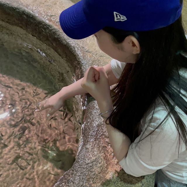 🇯🇵沖縄 DMMかりゆし水族館