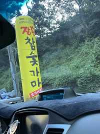 물놀이 + 바베큐를 한번에 즐길 수 있는 찜질방🔥 서울근교 양주 장흥참숯가마