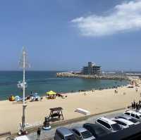 넓고 푸른 동해안의 자랑 강릉 안목해변🌊
