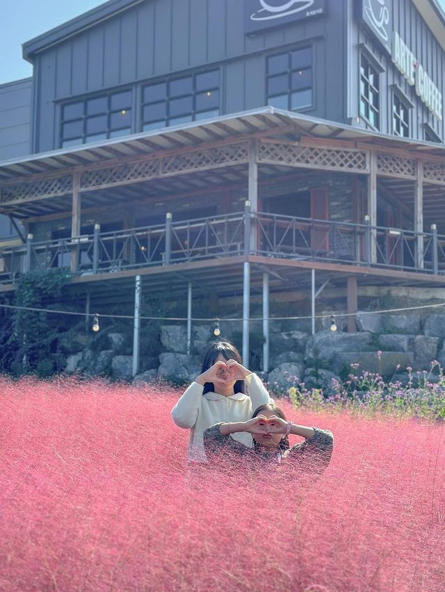 꽃잔치 가득 열린 청주 카페 아르떼 물들이다🌸