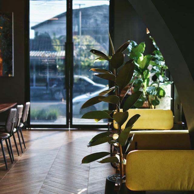  Barista Haus Coffee 
