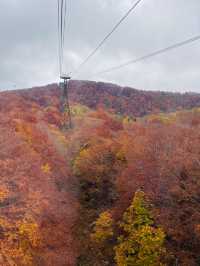 Zao ropeway ใน Autumn vibe 🍂